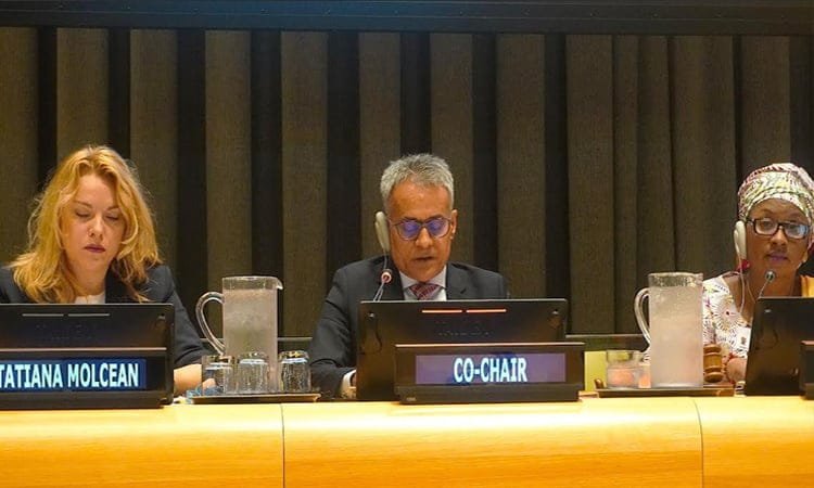 Dhaka calls for stronger institutions to save lives on roads