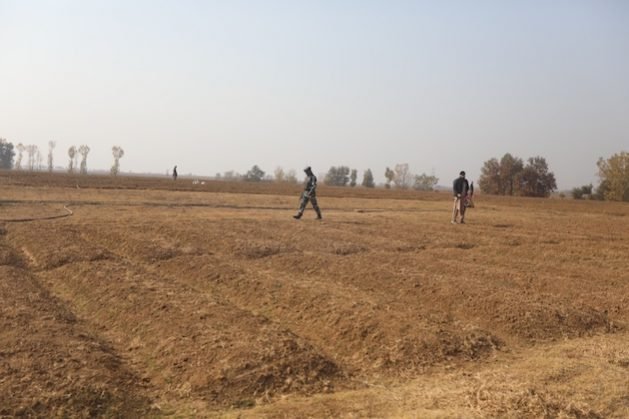 How agriculture can prepare for extreme weather risks