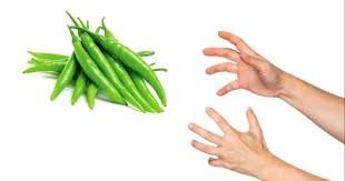 Green Chilli Prices to Fall in 2-5 Days: Minister