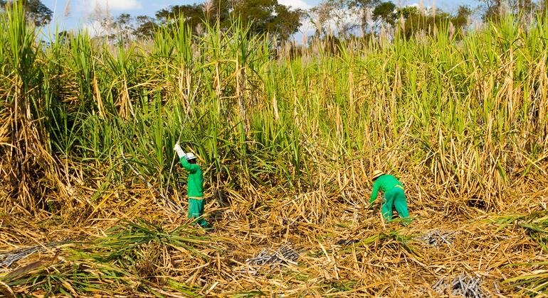 Food prices edge up in July amid heat and energy costs