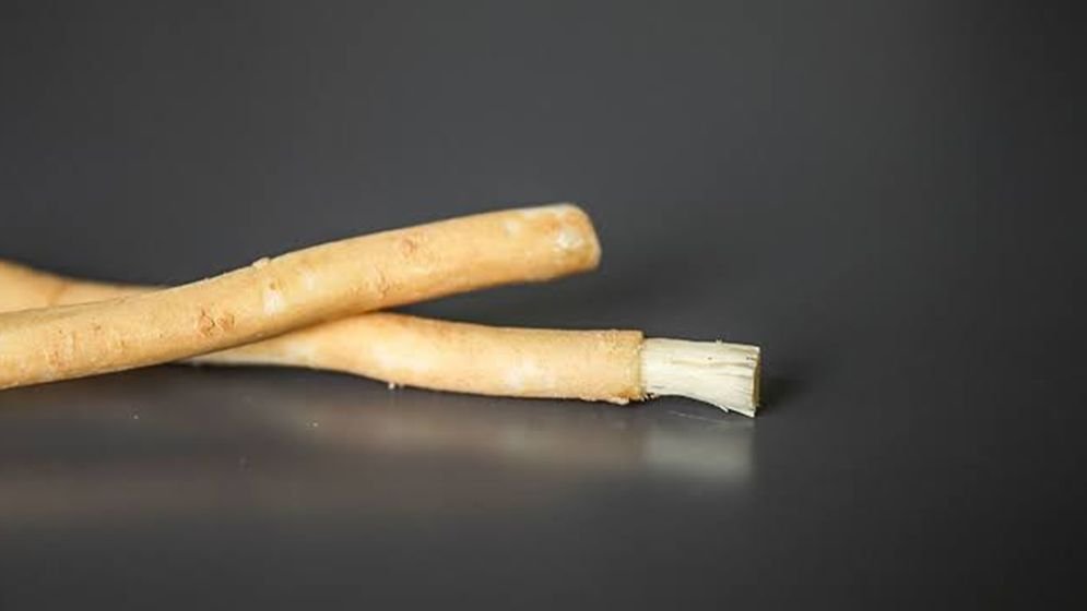 Miswak: A Sunnah for Oral Health and Hygiene