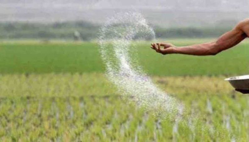 TSP fertiliser shortage worries northern farmers; officials blame overuse