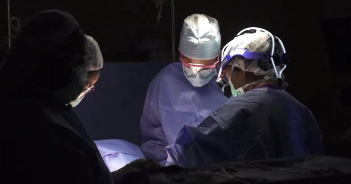 New study reveals why breast cancer treatments stop working