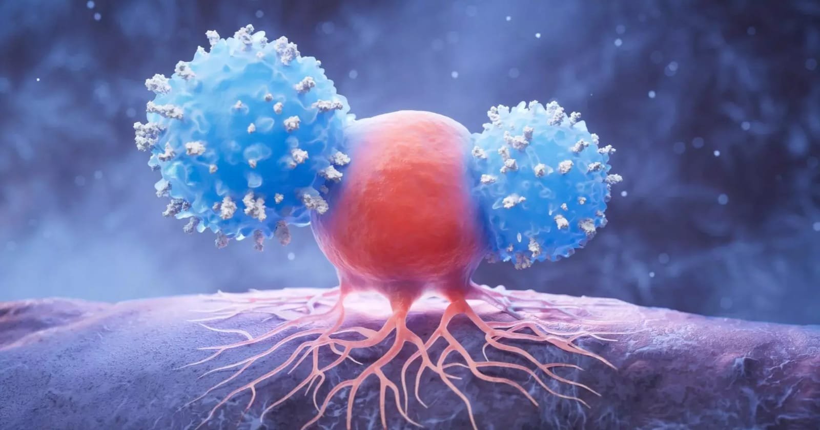 Study finds more killer immune cells in people over 110