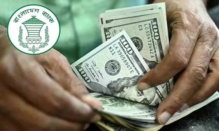 Remittance inflow rises 13.1pc in March-Aug