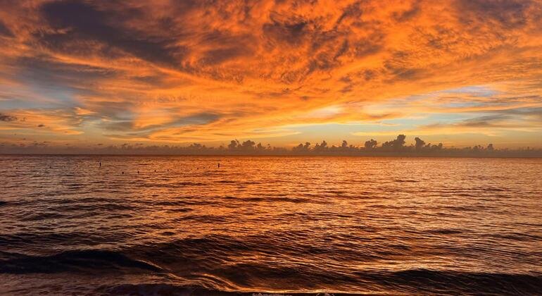 Earth records hottest August ever, weather data shows