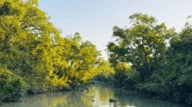 Bangladesh targets 7% tourism contribution to GDP