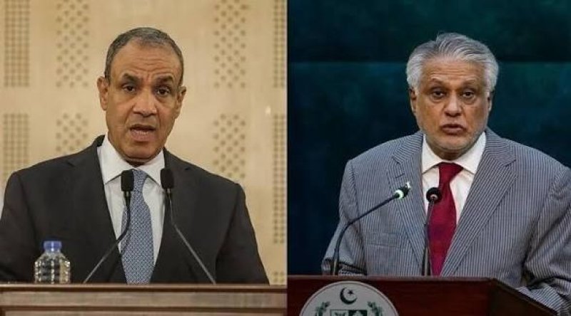 Egyptian, Pakistani FMs condemn Houthi attacks on Saudi Arabia